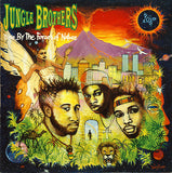 Jungle Brothers : Done By The Forces Of Nature (LP, Album, RE)