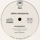 Biddu Orchestra : Rainforest (12", Promo)