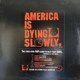 Various : America Is Dying Slowly (LP, Promo, Smplr, Red)