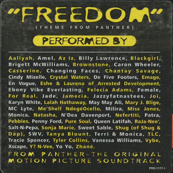 Various : Freedom (Theme From Panther) (12", Promo)