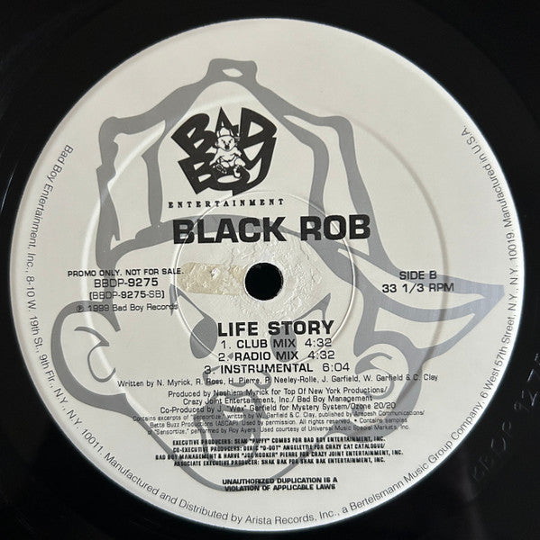 Black Rob : PD World Tour / Life Story (12", Promo)