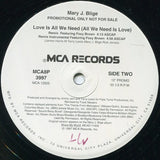 Mary J. Blige : I Can Love You / Love Is All We Need (All We Need Is Love) (12", Promo)