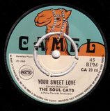 The Soul Cats* : Your Sweet Love  (7")