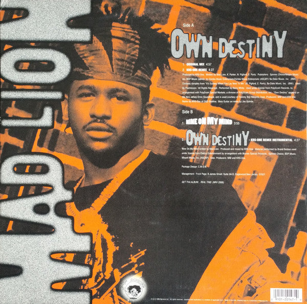 Mad Lion : Own Destiny (12")