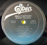 Molly Hatchet : Beatin' The Odds (LP, Album)