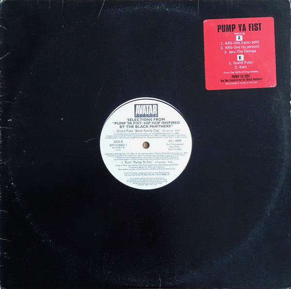 Various : Selections From "Pump Ya Fist: Hip Hop Inspired By The Black Panthers" (12", Promo, Smplr)