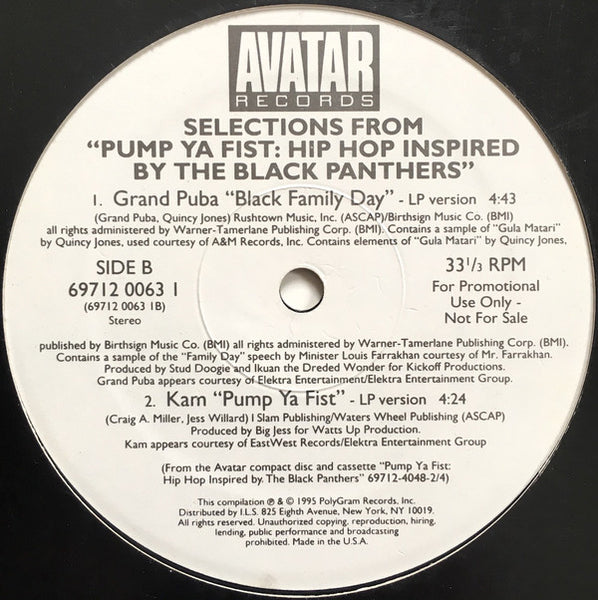 Various : Selections From "Pump Ya Fist: Hip Hop Inspired By The Black Panthers" (12", Promo, Smplr)