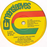 Scion Success : Pain-A-Back / Can't Leave Jah Alone (12")