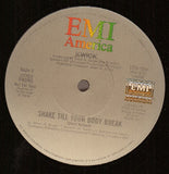 Kwick : Shake Till Your Body Break (12", Promo)