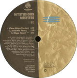 Mystidious Misfitss : I Be (12")