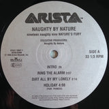 Naughty By Nature : Nineteen Naughty Nine - Nature's Fury (2xLP, Album)