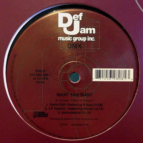 DMX : What You Want (12")