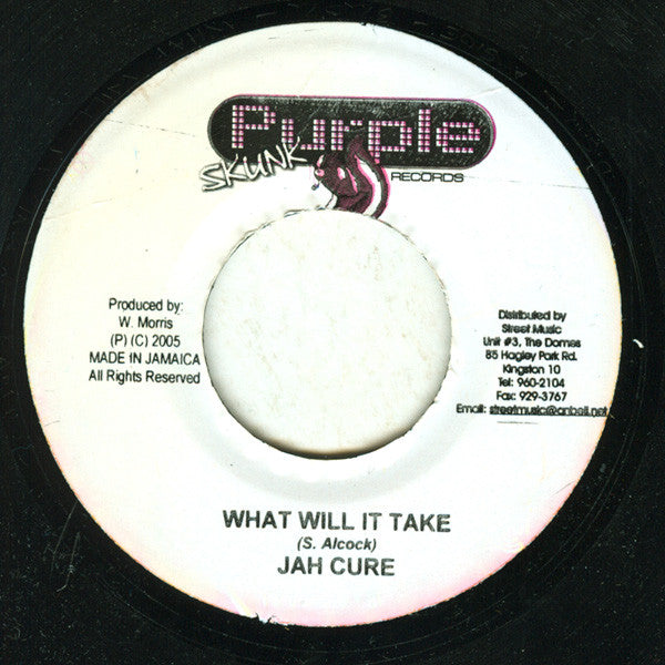 Jah Cure : What Will It Take (7")