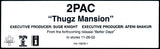 2Pac : Thugz Mansion (12", Single, Promo)