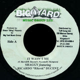 Shaggy Featuring Ricardo "Rikrok" Ducent* : It Wasn't Me (7")