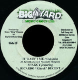 Shaggy Featuring Ricardo "Rikrok" Ducent* : It Wasn't Me (7")