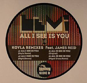 Lemi Feat. James Reid (25) : All I See Is You (12")