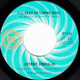 Detroit Emeralds : (I'm An Ordinary Man) Take Me The Way I Am / I'll Keep On Coming Back (7", Single, Mono, Styrene, San)