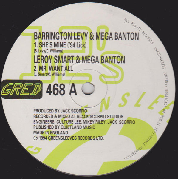 Barrington Levy / Mega Banton & Leroy Smart : She's Mine (12")