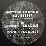 Meli'sa Morgan : Fool's Paradise (12", Single)